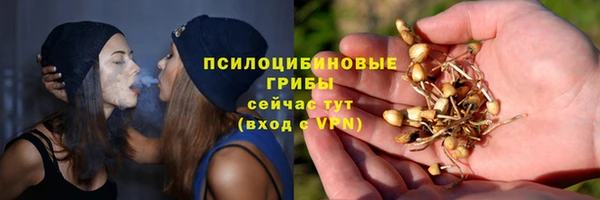 Альфа ПВП Покровск