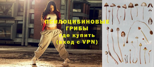 прущая мука Гвардейск