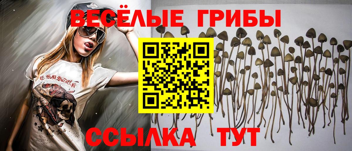 Тула  Галлюциногенные грибы мицелий  купить закладку  Псилоцибиновые грибы прущие грибы  Вход с VPN 